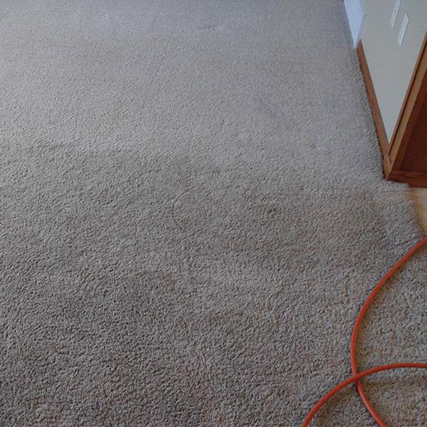 carpet cleaning
