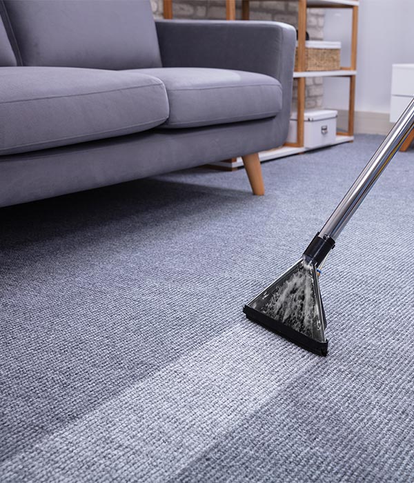 carpet being professionally cleaned