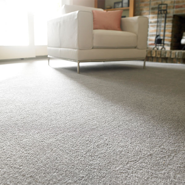 bright living room with clean carpet
